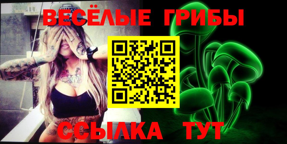 Галлюциногенные грибы GOLDEN TEACHER Гудермес