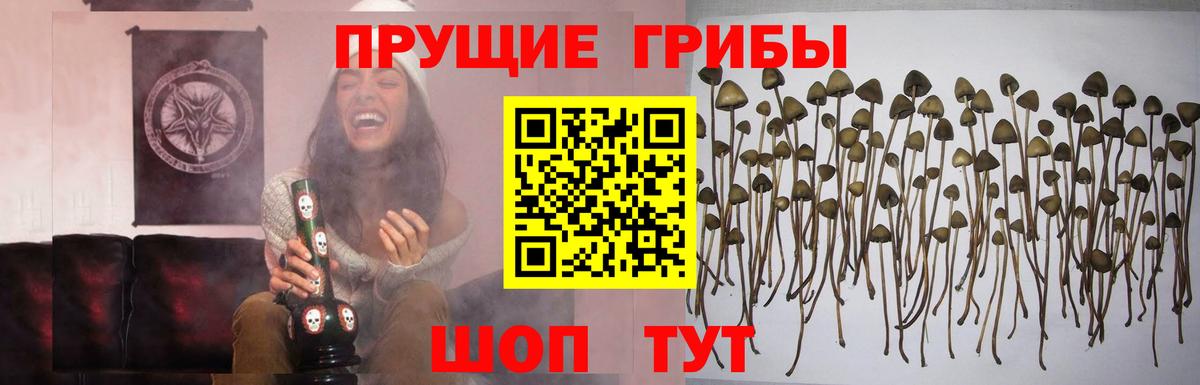 Гудермес  Галлюциногенные грибы GOLDEN TEACHER  Псилоцибиновые грибы Psilocybine cubensis  Вход с VPN 