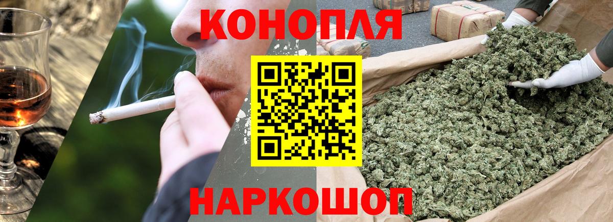 Шишки марихуана семена Гудермес